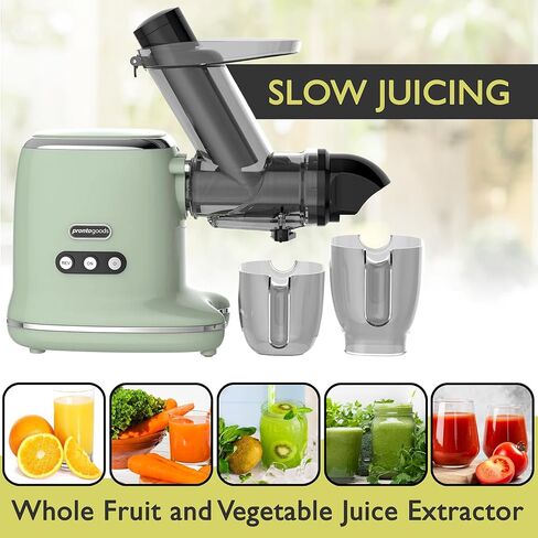 Masticating Juicer Cold Press Slow Juicer Machine - Whole Fruit and Vegetable Juice Extractor, Multiple Filters, Easy to Clean, Durable - Green in Kuwait