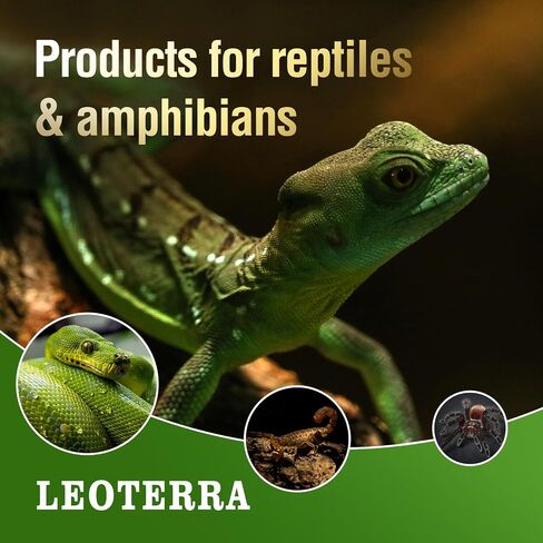Leoterra 2PCS 50w Ceramic Heat Emitter, Infrared Heat Lamp Bulbs Ceramic Heat Lamp for Reptile Tank,Hedgehogs, Chicken coop, Dog House, Cat Use,Strong Durable and Powerful,Gives Off No Light (50w) in Saudi Arabia