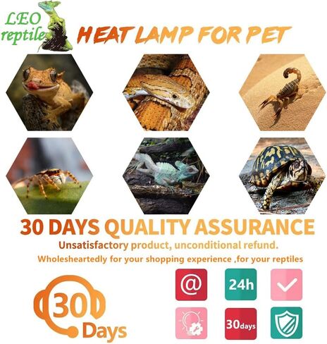 Leoterra 2PCS 50w Ceramic Heat Emitter, Infrared Heat Lamp Bulbs Ceramic Heat Lamp for Reptile Tank,Hedgehogs, Chicken coop, Dog House, Cat Use,Strong Durable and Powerful,Gives Off No Light (50w) in Saudi Arabia