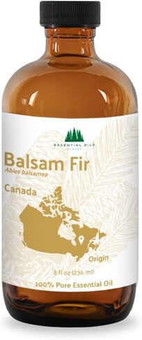 زيت التنوب البلسم العضوي (15 مل) - مباشرة من شريك المزرعة لدينا في كندا - الزيوت العطرية للمنزل أو المرطب أو العلاج العطري | درجة علاجية نقية in Kuwait