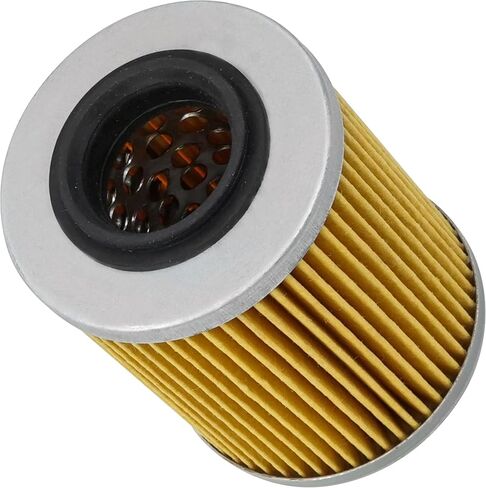 فلتر زيت كالتريك متوافق مع Can-am Renegade 800R Efi X 800 1000 X Xc 2009 2011-2014 in Saudi Arabia