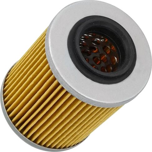 فلتر زيت كالتريك متوافق مع Can-am Renegade 800R Efi X 800 1000 X Xc 2009 2011-2014 in Saudi Arabia