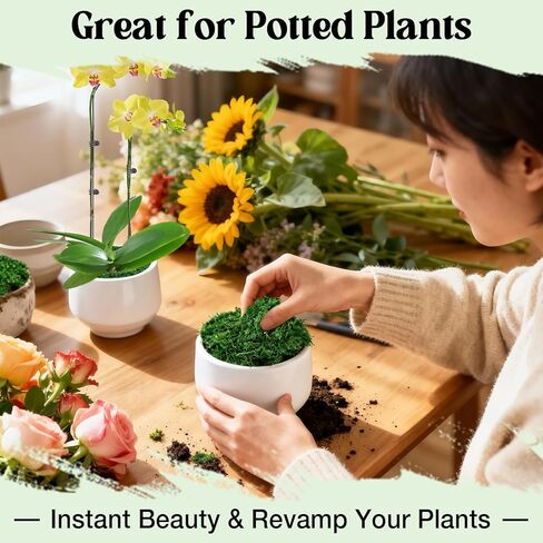 Halatool Fake Green Moss for Plants Indoor Pot Filler, 10OZ Dried Artificial Faux Moss for Crafts, Fairy Garden Terrarium Arts Micro-Landscape DIY Project Table Centerpieces Wedding Christmas Decor in Kuwait