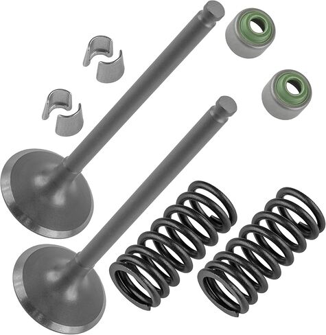 Caltric 2x Exhaust Valve Kit Compatible with Yamaha YZ250F YZ 250F 2002 2003 2004 2005 2006 2007 2008-2013 in Saudi Arabia