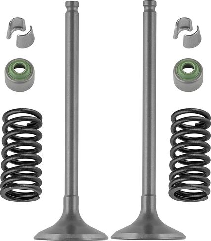 Caltric 2x Exhaust Valve Kit Compatible with Yamaha YZ250F YZ 250F 2002 2003 2004 2005 2006 2007 2008-2013 in Saudi Arabia