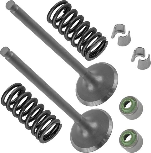 Caltric 2x Exhaust Valve Kit Compatible with Yamaha YZ250F YZ 250F 2002 2003 2004 2005 2006 2007 2008-2013 in Saudi Arabia