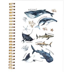 KAOWT Ocean Shark Notebook Journal، هدايا القرش الحوت اللوازم المكتبية دفاتر الملاحظات لتدوين الملاحظات، مجلة الأحياء البحرية المحيط، هدايا محبي الشاطئ، دفتر ملاحظات حلزوني بغلاف مقوى 5.5x8.3in in Kuwait