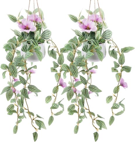 عبوتان من النباتات المعلقة المزيفة، ديكور صناعي، وعاء نبات معلق صغير مع الكروم الاصطناعية والزهور الوردية، ديكورات خضراء لغرفة المعيشة، جدار المنزل، رف حائط داخلي وخارجي in Kuwait