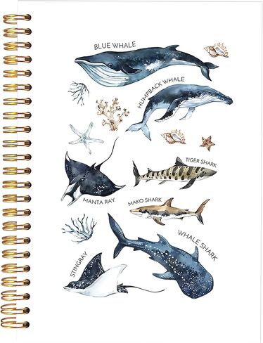 KAOWT Ocean Shark Notebook Journal، هدايا القرش الحوت اللوازم المكتبية دفاتر الملاحظات لتدوين الملاحظات، مجلة الأحياء البحرية المحيط، هدايا محبي الشاطئ، دفتر ملاحظات حلزوني بغلاف مقوى 5.5x8.3in in Kuwait