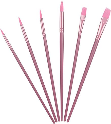 6 Pcs Acrylic Paints Brush Set, Watercolor Brush Nylon Hair Brushes for Paint Oil Painting Round Flat Art Paint Brushes Kit for Beginners with 2/4/6/8/10/¼ Sizes(Pink) in Saudi Arabia