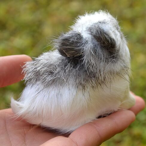 Pack of 4 Assorted Miniature Realistic Plush Rabbit Figurines - Stuffed Farm Animal Model Home Decoration Lifelike Easter Bunnies Photo Props Spring Collectible Gift in Kuwait