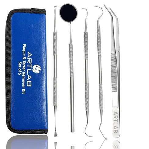 Premium Dental Tools, Plaque Remover for Teeth, Professional Hygiene Cleaning Kit,Stainless Tooth Scraper Plaque Tartar Remover Cleaner,Dental Pick Scaler Oral Care Tools Set (SET of 9 with CASE) in Kuwait