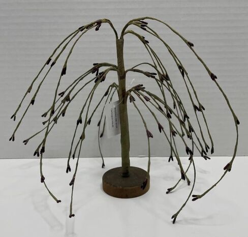 Pip Berry Willow Tree Set of 2, 14 and 7inches, Burgundy Primitive Home Decor, Weeping Willow Style Decorative Trees in Saudi Arabia