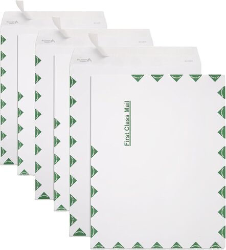 Blue Summit First-Class Envelope, 10 x 13 Peel & Seal Envelopes, White Wove with Center Seam, 100 Envelopes in Saudi Arabia