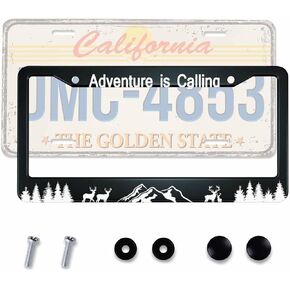 Spider Web Matte Black License Plate Frame Cover, Heavy Duty Stainless Steel Auto Car Tag Frame with 2 Holes & Free Screws 12.2 x 6.3 in in Saudi Arabia