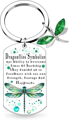Inspirational Dragonfly Gifts For Women Encouragement Gifts For Girls Friends Dragonfly Lovers Jewelry Cute Dragonflies Keychains For Birthday Christmas Stocking Stuffers in Saudi Arabia