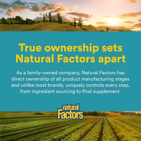 Natural Factors - Phosphatidyl Choline (PC) 420mg, Supports Healthy Liver Function, 90 Soft Gels in Saudi Arabia