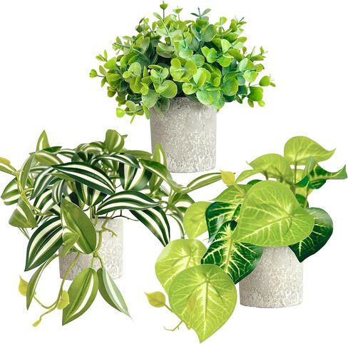 الأوكالبتوس، أوراق الحواجب، Epipremnum Aureum، 3 قطع من النباتات المزيفة الصغيرة، نباتات صناعية داخلية، نباتات معلقة، نباتات وهمية لديكور المنزل، نباتات صناعية داخلية، ديكور رف الكتب in Saudi Arabia
