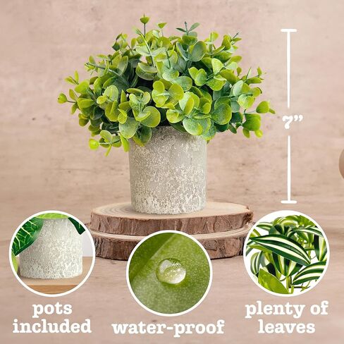 الأوكالبتوس، أوراق الحواجب، Epipremnum Aureum، 3 قطع من النباتات المزيفة الصغيرة، نباتات صناعية داخلية، نباتات معلقة، نباتات وهمية لديكور المنزل، نباتات صناعية داخلية، ديكور رف الكتب in Saudi Arabia