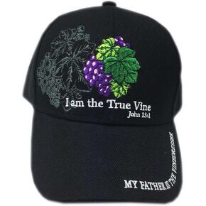3D Embroidery Christian Bible Verse I Am The True Vine Church Baseball Cap Hat Visor Sport Gift in Saudi Arabia