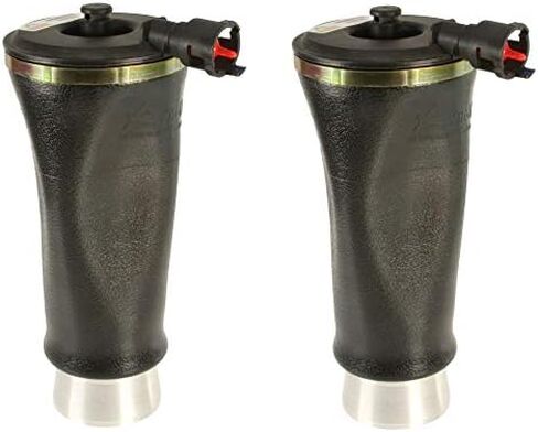 Pair Set of 2 Rear Arnott Air Suspension Springs For Lincoln For HD Limo in Saudi Arabia