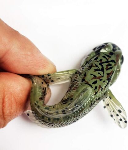 5 Pcs CYCEARTH 75mm Goby Soft Lure Baits Fishing Lures 3 inch 9.3g Bass Fish Finest Detailed PVC Plastic Swimbaits in Saudi Arabia