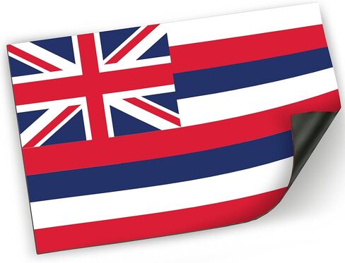 Magnet Me Up Hawaii USS Arizona Pearl Harbour National Memorial ملصق مغناطيسي بيضاوي، مقاس 4x6 بوصة، مغناطيس سيارات شديد التحمل للسيارة أو الشاحنة أو سيارات الدفع الرباعي، للتاريخ البحري وعشاق الحرب، صُنع في الولايات المتحدة الأمريكية in Saudi Arabia