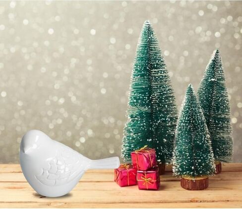THE Homes Good White Song Bird Keepsake Urn Durable Aluminium Cremation Memorial - Handcrafted Funeral Urn (4.75" L x 3" W x 3" H) in Saudi Arabia