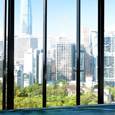 16PCS Window Decals for Bird Strikes, Anti-Collision Bird Clings for Glass Windows, Hummingbird Window Strike Prevention Stickers Films, Birds Deterrents for Outside, Glass Decorations in Kuwait