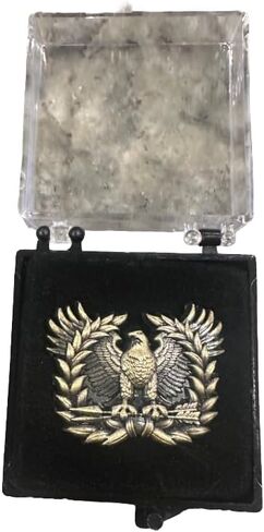 Warrant Officer Eagle Rising Lapel Pin FBA in Saudi Arabia