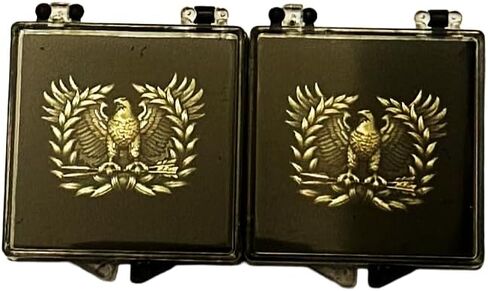 Warrant Officer Eagle Rising Lapel Pin FBA in Saudi Arabia