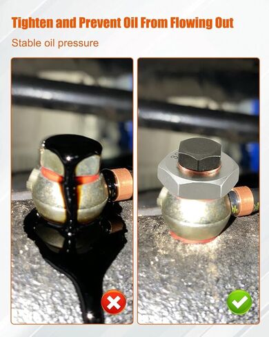 3911446 الترباس مرشح الوقود موصل أنبوب مشترك صالح ل دودج رام 2500 3500 فورد LN7000 الكمون 12 فولت 5.9L استبدال 3911446 3903216 3905860 in Kuwait