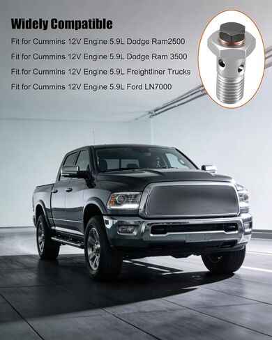 3911446 الترباس مرشح الوقود موصل أنبوب مشترك صالح ل دودج رام 2500 3500 فورد LN7000 الكمون 12 فولت 5.9L استبدال 3911446 3903216 3905860 in Kuwait