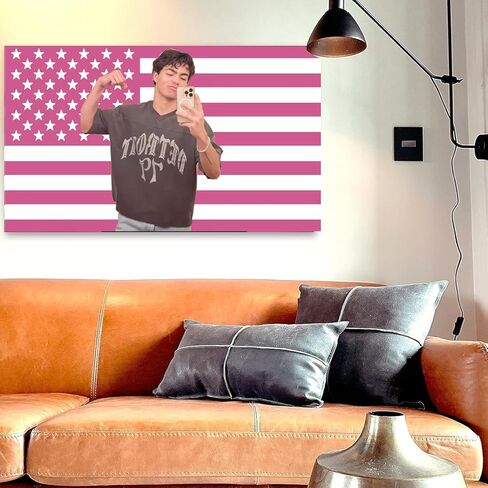 Malachi Barton Flag 3x5 Ft Pink American Flag Tapestry Funny USA Poster – College Dorm Room Decor Wall Art, Bedroom Poster, Outdoor Party Tailgate Yard Flag with 4 Brass Grommets #2 in Saudi Arabia