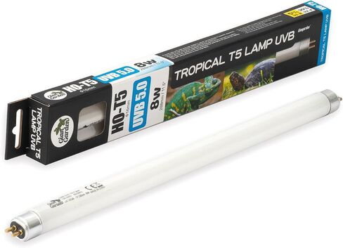 T5 UVB Reptile Light Fluorescent Bulb UVB 5.0 8W in Saudi Arabia