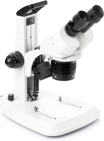 DMM-S13N-PL77 Dual Mag Stereo Microscope,6-1/2in W,LED in Saudi Arabia