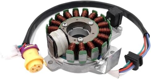 الجزء الثابت ملف مغناطيسي 250CC 12V 16 أقطاب متوافق مع باشان JS250 ATV QUAD ATV250-5 in Saudi Arabia
