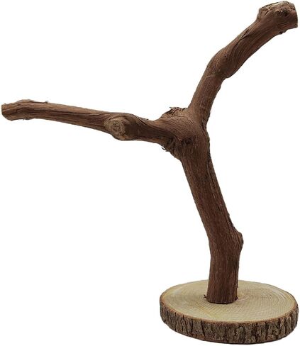 BNOSDM Reptile Grapevine Wood Decoration Lizard Natural Wood Climb Tree Branch Decor Grape Wood Branches Tank Accessories for Leopard Gecko Frog Snake Climbing Terrarium Ornament,7.87in in Saudi Arabia