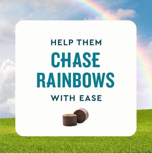 VetIQ Cat Hip & Joint Supplement, Chicken Flavored Cat Supplement with Glucosamine and Green Lipped Mussel for Mobility and Arthritis Support, 3.7oz in Kuwait