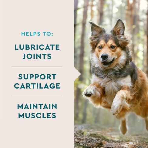 VetIQ Cat Hip & Joint Supplement, Chicken Flavored Cat Supplement with Glucosamine and Green Lipped Mussel for Mobility and Arthritis Support, 3.7oz in Kuwait