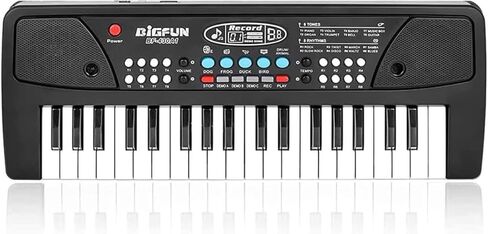 لوحة مفاتيح بيانو رقمية من LeeQee، لوحة مفاتيح بيانو رقمية محمولة للمنزل مع USB ومقبس سماعة رأس مناسبة للمبتدئين in Kuwait