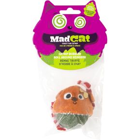 Cosmi Pet LLC 19006514: لعبة القط تابي تاكو in Kuwait