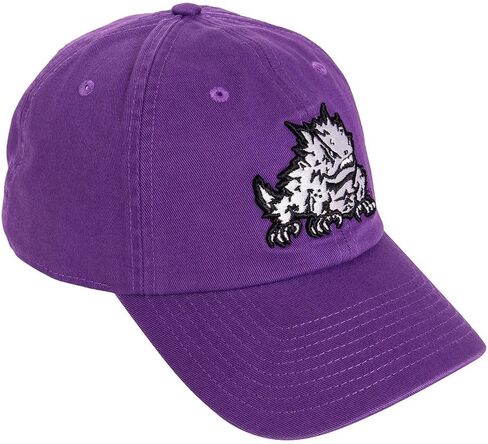 Desert Cactus TCU Texas Christian University Baseball Hat Horned Frogs Brimmed Embroirderd Hats Cap Adjustable Cloth Strap Adult (Style C1) Purple in Saudi Arabia