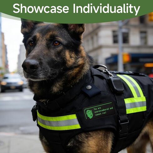 رقعة المعنويات المرهقة، خطاف وحلقة تكتيكية مضحكة من مادة PVC لحقائب الظهر والسترات والسترات، هدية فكاهة مضحكة، ملحقات عسكرية مولي in Kuwait