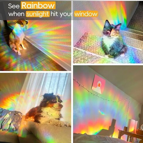 ملصقات نافذة الربيع والصيف على شكل زهرة الأقحوان، نافذة منشورية لامعة على الوجهين، ملصقات نافذة على شكل زهور لطيفة لتزيين النوافذ من الزهور الملونة للمرآة الزجاجية، متجر المكتب والمدرسة in Kuwait