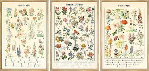 3 قطع من لوحات فنية جدارية من القماش على شكل زهور برية نباتية عتيقة، نمط ريفي ملون من مطبوعات صور الأزهار، نمط المزرعة، لوحة رسم بياني مرجعي توضيحي لديكور الحائط (قماش ملفوف مقاس 12 × 16 بوصة) in Kuwait