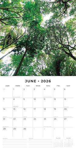 تقويم حائط شهري لمشاهد الغابات من ريد روبن 2026 | 12 بوصة × 24 بوصة مفتوح | ورق سميك وقوي ممتاز | تقويم قابل للتعليق لمدة 12 شهرًا | ملاحظات مسطرة ومنطقة المهام | صور حية | خالية من البلاستيك in Saudi Arabia