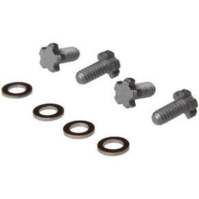 Matte Titanium Color 5 prongs RM010 Watch Screw for Richard Mille Watch Bezel/case Back in Kuwait