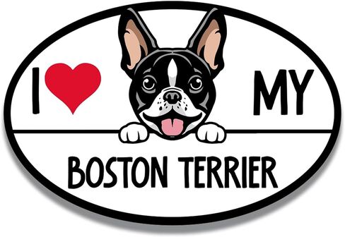 Magnet Me Up I Love My Boston Terrier Dog Breed Car ملصق مغناطيسي، 4 × 6 بوصات بيضاوية، زخرفة رائعة للمركبة، الثلاجة، كلب خاطف لطيف، مغناطيس ممتص للصدمات لمحبي السلالات، صنع في الولايات المتحدة الأمريكية in Kuwait