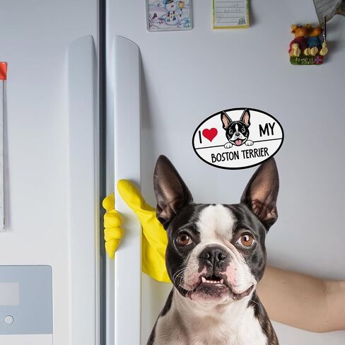 Magnet Me Up I Love My Boston Terrier Dog Breed Car ملصق مغناطيسي، 4 × 6 بوصات بيضاوية، زخرفة رائعة للمركبة، الثلاجة، كلب خاطف لطيف، مغناطيس ممتص للصدمات لمحبي السلالات، صنع في الولايات المتحدة الأمريكية in Kuwait